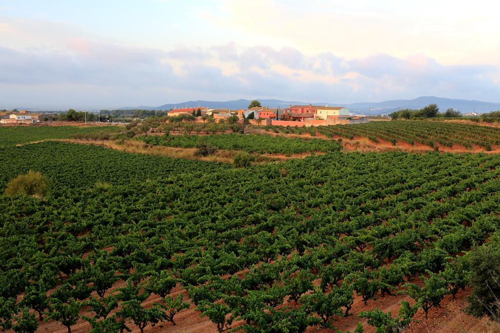 Mas Castell De Gimenelles Sant Jaume dels Domenys Exterior foto